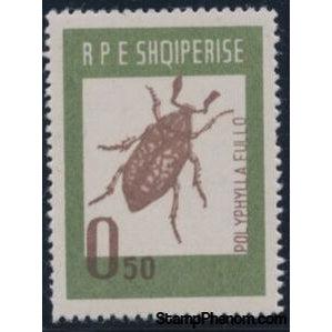 Albania 1963 Pine Chafer (Polyphilla fullo)-Stamps-Albania-StampPhenom