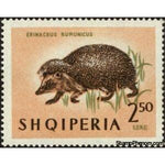 Albania 1964 European Hedgehog (Erinaceus europaeus)-Stamps-Albania-StampPhenom