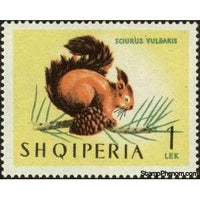 Albania 1964 Red Squirrel (Sciurus vulgaris)-Stamps-Albania-StampPhenom