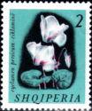 Albania 1965 Flowers-Stamps-Albania-StampPhenom