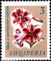 Albania 1965 Flowers-Stamps-Albania-StampPhenom