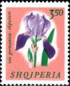 Albania 1965 Flowers-Stamps-Albania-StampPhenom
