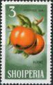 Albania 1965 Fruits-Stamps-Albania-StampPhenom