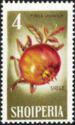 Albania 1965 Fruits-Stamps-Albania-StampPhenom