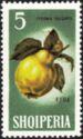 Albania 1965 Fruits-Stamps-Albania-StampPhenom