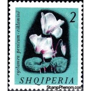 Albania 1965 Persian Cyclamen (Cyclamen persicum)-Stamps-Albania-StampPhenom