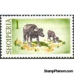 Albania 1965 Water Buffalo-Stamps-Albania-StampPhenom