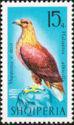 Albania 1966 Birds-Stamps-Albania-StampPhenom