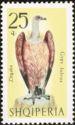 Albania 1966 Birds-Stamps-Albania-StampPhenom