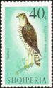 Albania 1966 Birds-Stamps-Albania-StampPhenom