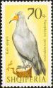 Albania 1966 Birds-Stamps-Albania-StampPhenom