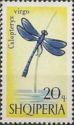 Albania 1966 Butterflies-Stamps-Albania-StampPhenom