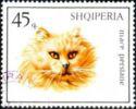 Albania 1966 Cats-Stamps-Albania-StampPhenom