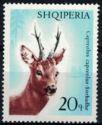 Albania 1967 Deers-Stamps-Albania-StampPhenom