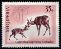 Albania 1967 Deers-Stamps-Albania-StampPhenom