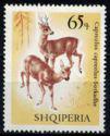 Albania 1967 Deers-Stamps-Albania-StampPhenom