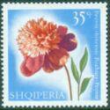 Albania 1967 Flowers-Stamps-Albania-StampPhenom