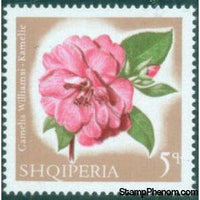 Albania 1967 Flowers-Stamps-Albania-StampPhenom