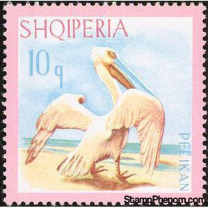 Albania 1967 Pelicans-Stamps-Albania-StampPhenom