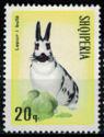Albania 1967 Rabbits-Stamps-Albania-StampPhenom