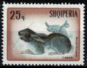Albania 1967 Rabbits-Stamps-Albania-StampPhenom