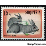 Albania 1967 Rabbits-Stamps-Albania-StampPhenom