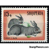 Albania 1967 Rabbits-Stamps-Albania-StampPhenom
