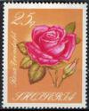 Albania 1967 Roses-Stamps-Albania-StampPhenom