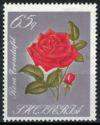 Albania 1967 Roses-Stamps-Albania-StampPhenom