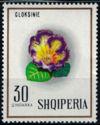 Albania 1968 Flowers-Stamps-Albania-StampPhenom