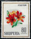 Albania 1968 Flowers-Stamps-Albania-StampPhenom