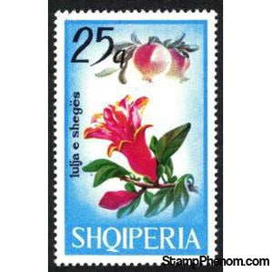 Albania 1969 Pomegranate (Punica granatum)-Stamps-Albania-StampPhenom