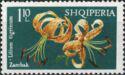 Albania 1970 Lilies-Stamps-Albania-StampPhenom