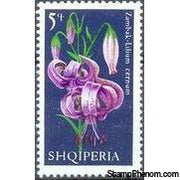 Albania 1970 Lilies-Stamps-Albania-StampPhenom