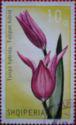 Albania 1971 Tulips-Stamps-Albania-StampPhenom