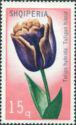 Albania 1971 Tulips-Stamps-Albania-StampPhenom