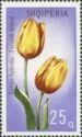 Albania 1971 Tulips-Stamps-Albania-StampPhenom