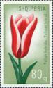 Albania 1971 Tulips-Stamps-Albania-StampPhenom