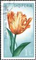 Albania 1971 Tulips-Stamps-Albania-StampPhenom