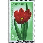 Albania 1971 Tulips-Stamps-Albania-StampPhenom