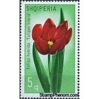 Albania 1971 Tulips-Stamps-Albania-StampPhenom