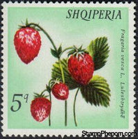 Albania 1972 Wild Fruits-Stamps-Albania-StampPhenom