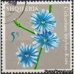 Albania 1975 Albanian Flowers-Stamps-Albania-StampPhenom