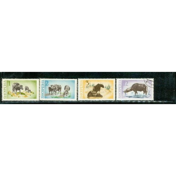 Albania Buffalos , 4 stamps