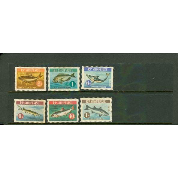 Albania Fishes , 6 stamps Lot 2 - Albania Fishes , 6 stamps Lot 2
