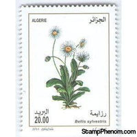 Algeria 2014 Bellis sylvestris-Stamps-Algeria-Mint-StampPhenom