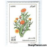 Algeria 2014 Calendula arvensis-Stamps-Algeria-Mint-StampPhenom