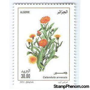 Algeria 2014 Calendula arvensis-Stamps-Algeria-Mint-StampPhenom