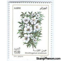 Algeria 2014 Ornithogalum arabicum-Stamps-Algeria-Mint-StampPhenom