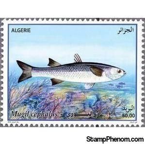 Algeria 2016 Flathead Grey Mullet (Mugil cephalus)-Stamps-Algeria-Mint-StampPhenom